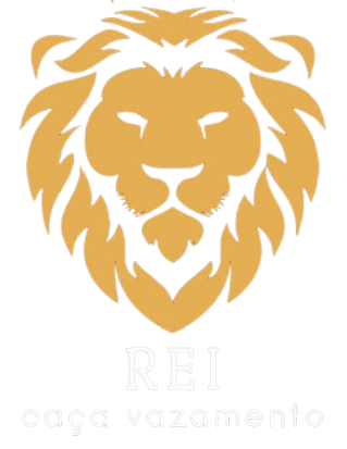 Equipe Rei do Caça Vazamento